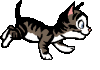 Chatons 2009